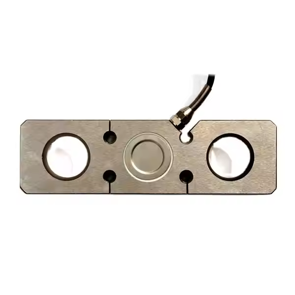 Dynamic Precision Weighing Systems and Overload Protection for Crane
