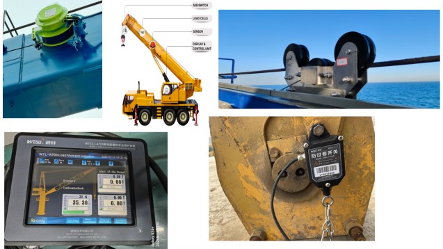 Let us know more about Load Moment Indicator together (LMI,SLI,RCI,AML,ASLI)
