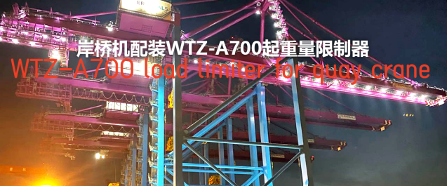 Serving the great country! Weite products are used to support the world's first set of double-girder 3600t gantry cranes