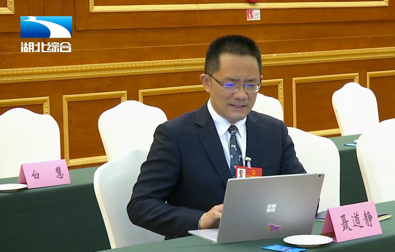 Chairman Nie Daojing attended the Provincial People's Congress and Proposed Leveraging "Little Giant" Enterprises to Drive a Large-Scale Innovation Ecosystem.