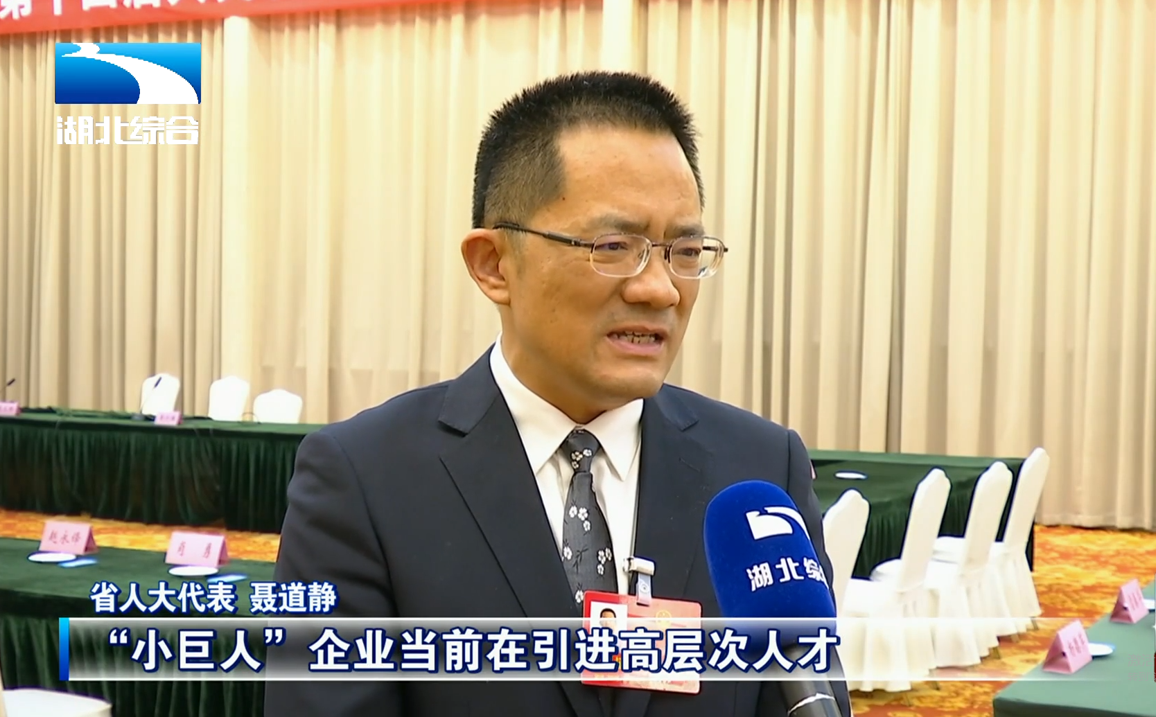 Chairman Nie Daojing attended the Provincial People's Congress and Proposed Leveraging "Little Giant" Enterprises to Drive a Large-Scale Innovation Ecosystem.