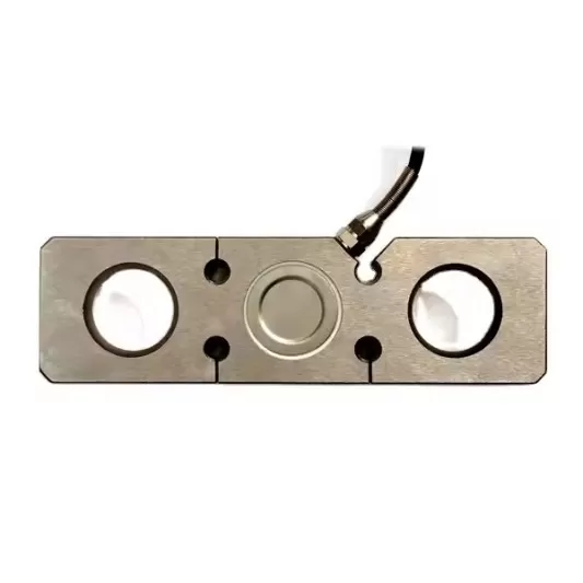 Dynamic Precision Weighing Systems and Overload Protection for Crane