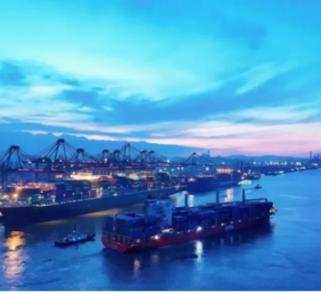 Weite's Dynamic Weighing System helps Xiamen Yuanhai Terminal Company upgrade its Gantry Crane to Intelligent