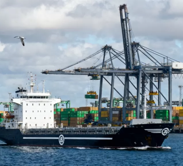 Monaco Shipping Company Andromeda ordered WTAU's 550t Chain Stopper Weight Sensor.