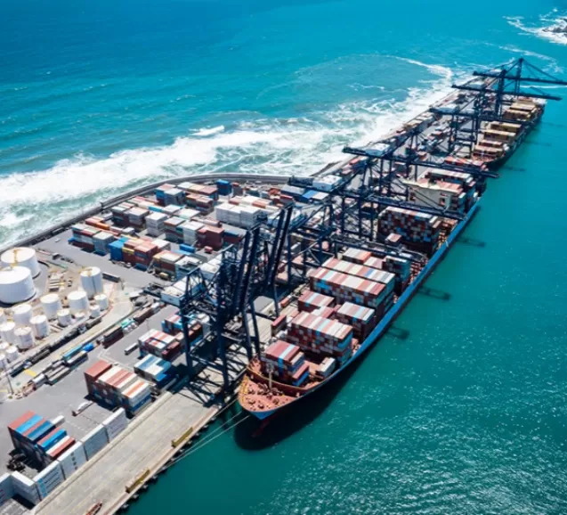Precisely Empowering South American Logistics Hubs: South American Ports Choose WTAU's Weight Sensors.