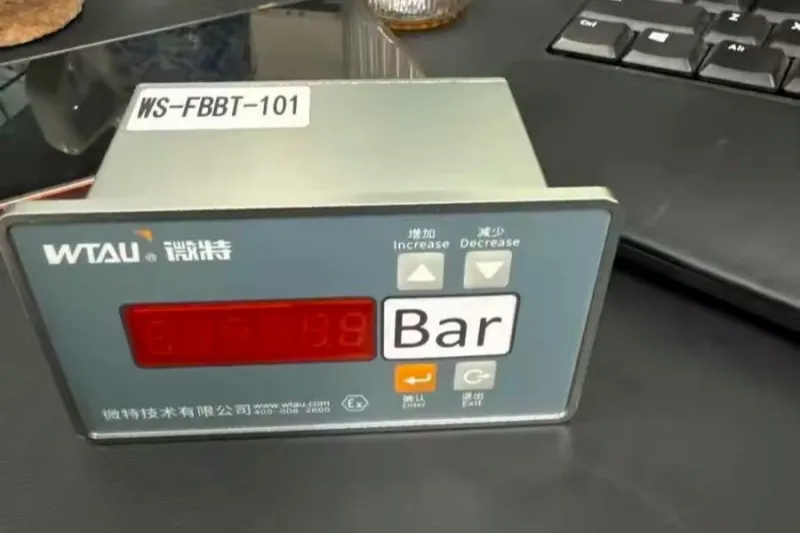 WS-FBBT-101 Explosion-Proof Digital Indicator